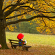 Image for article titled Kotaku 'Shop Contest: Autumn Game Harvest, Winners!